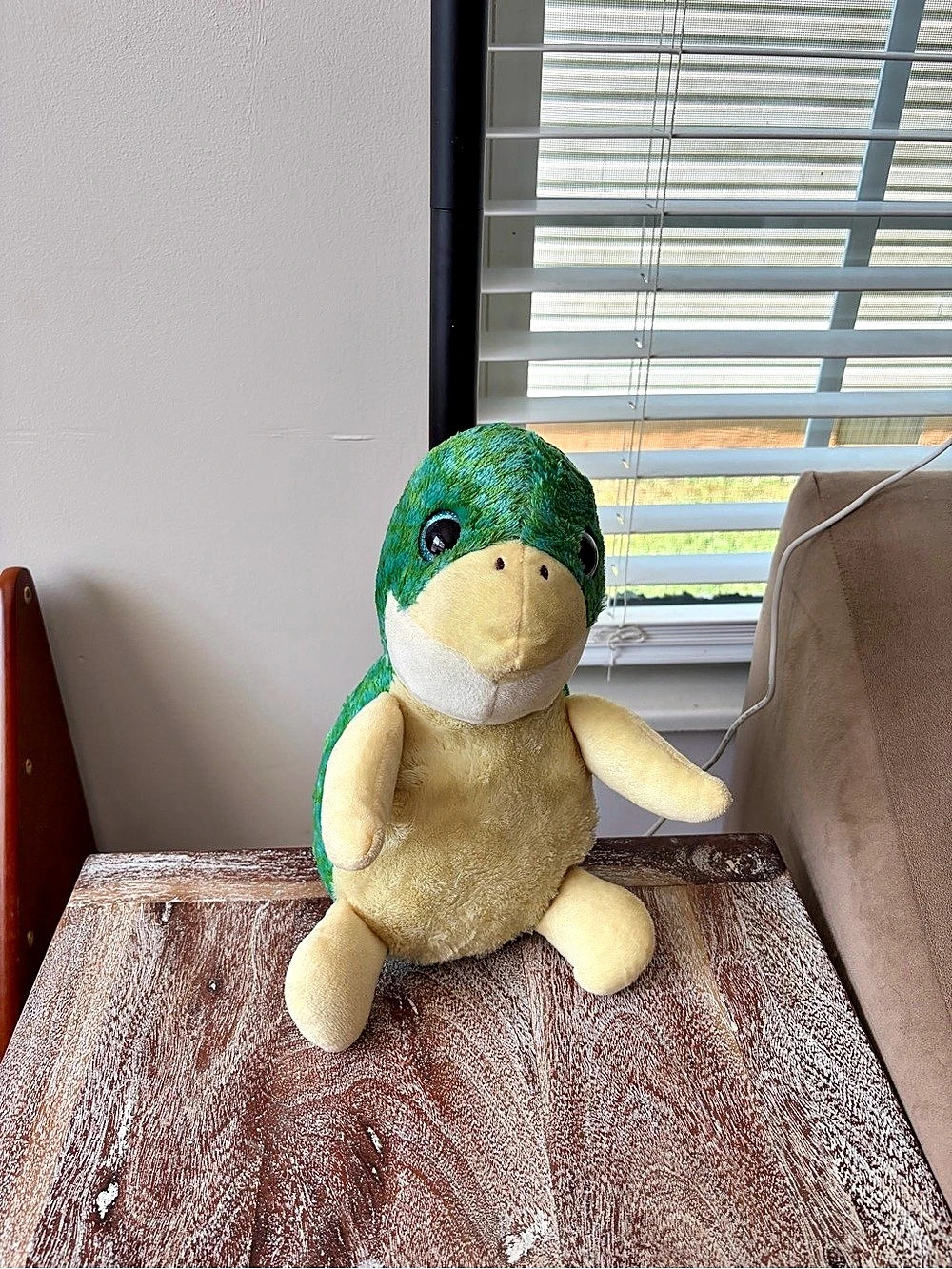 Sitting Turtle Stuffed Animal
